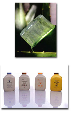 Tripacks de Forever Living Products