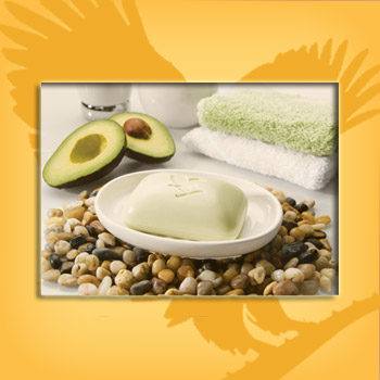 Avocado soap de Forever Living Products