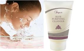 Soin Purifiant Aloes de Forever Living Products