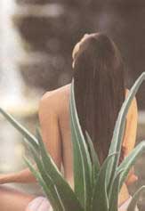 Produits à l`Aloe Vera de Forever Living Products pour vos soins capillaires
